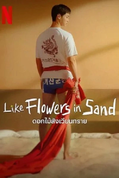 Like Flowers in Sand (2023) ดอกไม้สังเวียนทราย ซับไทย (จบ)